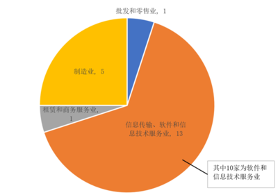軟件和信息技術(shù)服務(wù)業(yè)上市公司與IPO數(shù)據(jù)合規(guī)問(wèn)詢重點(diǎn)及應(yīng)對(duì)策略