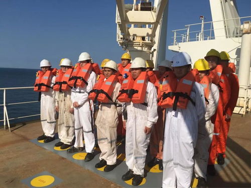 陽海國際船舶公司誠聘招生代理，共拓國際船舶管理業(yè)務(wù)新篇章